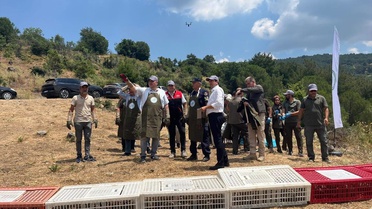 Havran'da Keklikler Doğaya Salındı