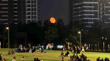 İstanbul'da Kızıl Ay Müzesi