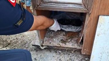 Mersin'de Uyuşturucu Operasyonu: 26 Şüpheli Yakalandı