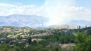 Malatya'da Orman Yangınına Müdahale
