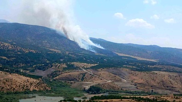 Malatya Pütürge'de Orman Yangını