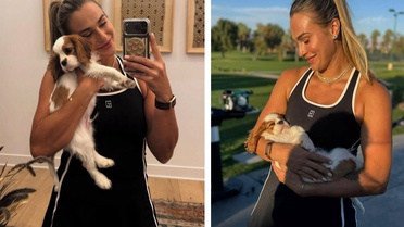 Aryna Sabalenka, köpeği için verdiği mücadeleyi kaybetti