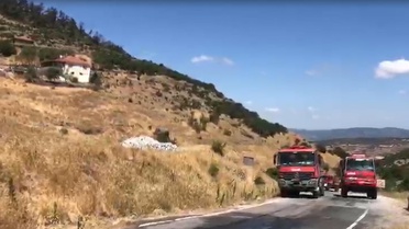 Kepsut'ta Orman Yangını