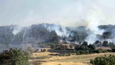 Balıkesir'de Orman Yangınına Müdahale Devam Ediyor