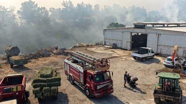 Balıkesir'de üç ayrı noktada yangın