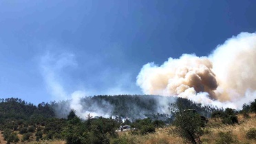 Balıkesir'de Orman Yangını