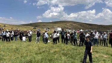 Bingöl'deki Çotla Festivali renkli görüntülere sahne oldu