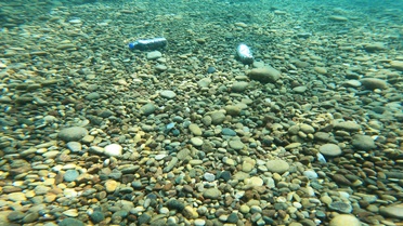 Antalya'da Deniz Çöpleri Artıyor
