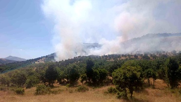 Çüngüş'te Ağaçlık Alanda Yangın