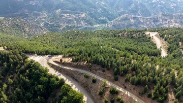 Feke'de Sedir Ormanları Hayata Döndü