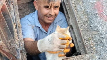 Küçük Kedi Yavrusunun Kurtuluşu