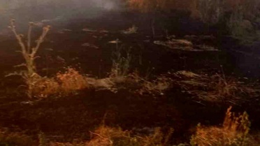 Afyonkarahisar'da Anız Yangını Kontrol Altına Alındı