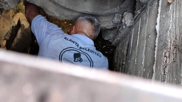 Kanalizasyona düşen kedi belediye ekiplerince kurtarıldı