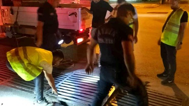 Mazgalda 3 gün mahsur kalan kedi, 2 saatlik çalışmayla kurtarıldı