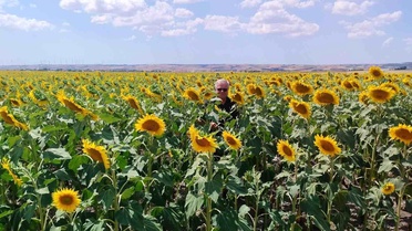 Anıza Ekim Çiftçiye Kazanç Sağladı