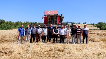 Vali Sözer Buğday Hasadına Katıldı
