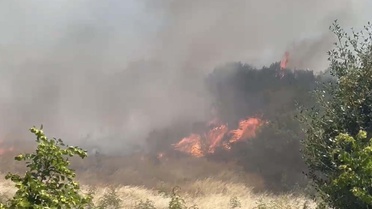 Ayvacık'ta Orman Yangını