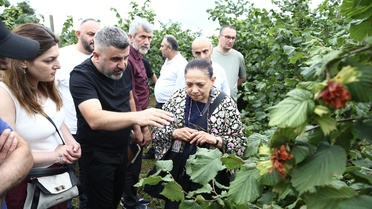 Giresun'da Fındık Üreticilerine Tarla Günü