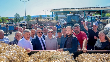 Taşköprü Sarımsağı Sezonu Açıldı