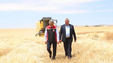 Yozgat'ta hububat hasadı başladı
