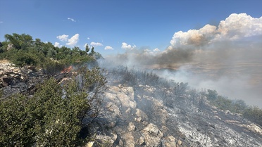 Gaziantep'te Orman Yangını