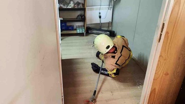 Yılan Paniği Adıyaman'da