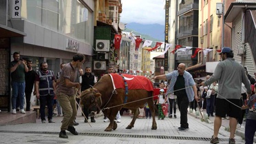 'Kafkasör Festivali' boğalı kortej yürüyüşüyle başladı