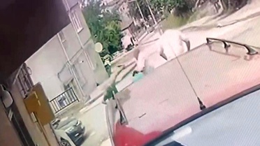Ağabeyi ve Ailesini Vuran Şüpheli Teslim Oldu