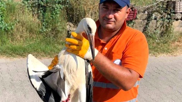 Temizlik personelinin duyarlılığı yaralı Leyleğe umut oldu