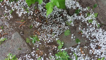 Ardahan'da Dolu Tarım Arazilerine Zarar Verdi