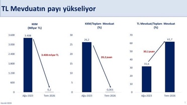 Türk Lirası Mevduat Payı Yıllık Zirvede