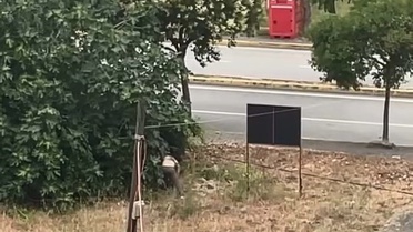 Kocaeli'de Akraba Kavgası: Dayı Öldürüldü