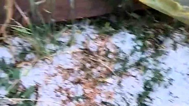Edirne'de Dolu Yağışı Tarımı Vurdu