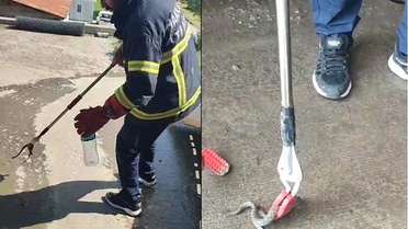 Hakkari'de aracın motor bölmesine giren yılan çıkarıldı