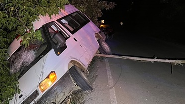 Ödemiş'te Minibüs Ağaca Çarptı: 2 Yaralı