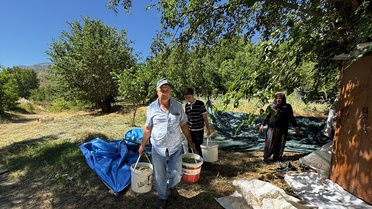 Soğanlı'da Asırlık Dut Ağaçlarından Geçim Kaynağı: Pekmez