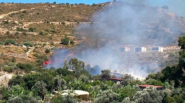 Bodrum'da Yangın: Hava ve Kara Ekipleri Mücadele Ediyor