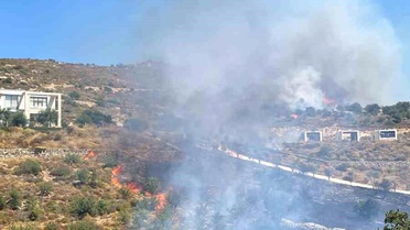 Bodrum'da makilik yangını