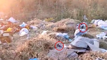 Diyarbakır'da Çöpler Fare Yuvasına Döndü