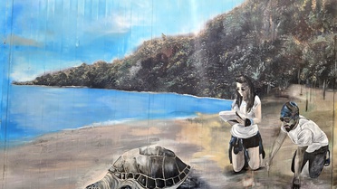 Caretta Caretta Yuvaları Korunuyor