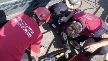 Ordu'da otomobilin egzoz muhafazasına sıkışan yavru kedi kurtarıldı
