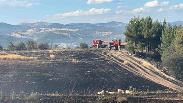 Uşak'ta Orman Yangını Kontrol Altına Alındı