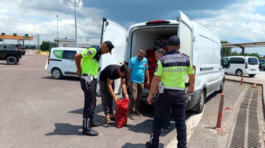 Yalova'da 3 Ton Kaçak Kara Midyesi Ele Geçirildi