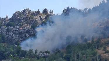 Alanya'da Zirai Yangın Kontrol Altında