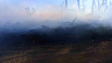 Ovacık'ta Otomobil Yangını Ormanı Tehdit Etti