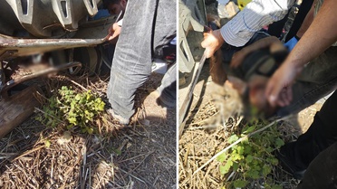 Traktörün altında kalan şahıs, ekiplerin çalışmasıyla kurtarıldı