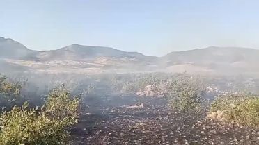 Diyarbakır'da Kırsalda Yangın Çıktı