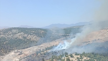 Kahramanmaraş'ta Orman Yangını Kontrol Altında