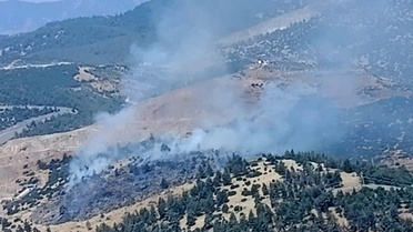 Kahramanmaraş'ta orman yangını