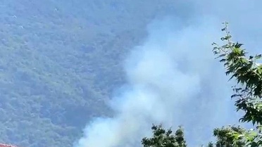 Kestel'de orman yangını